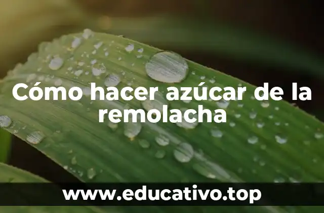 Cómo hacer azúcar de la remolacha