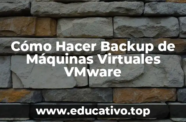 Cómo Hacer Backup de Máquinas Virtuales VMware