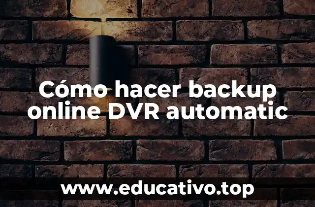 Cómo hacer backup online DVR automatic