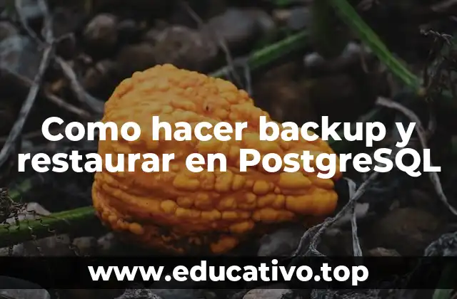 Como hacer backup y restaurar en PostgreSQL