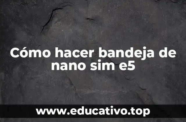 Cómo hacer bandeja de nano sim e5