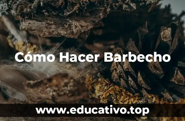 Cómo Hacer Barbecho