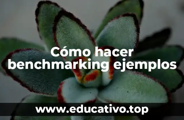 Cómo hacer benchmarking ejemplos