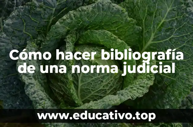 Cómo hacer bibliografía de una norma judicial