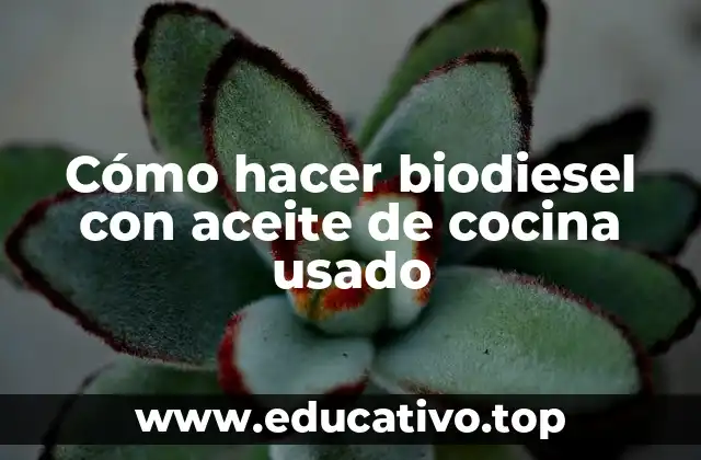 Cómo hacer biodiesel con aceite de cocina usado