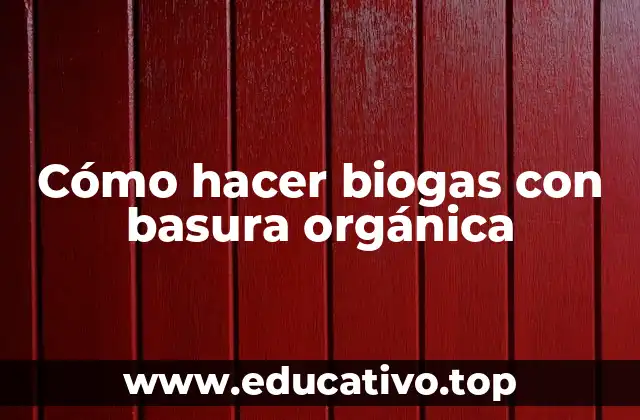 Cómo hacer biogas con basura orgánica