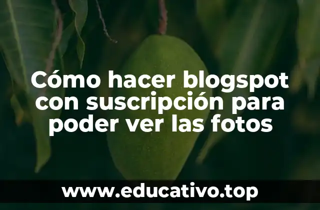 Cómo hacer blogspot con suscripción para poder ver las fotos