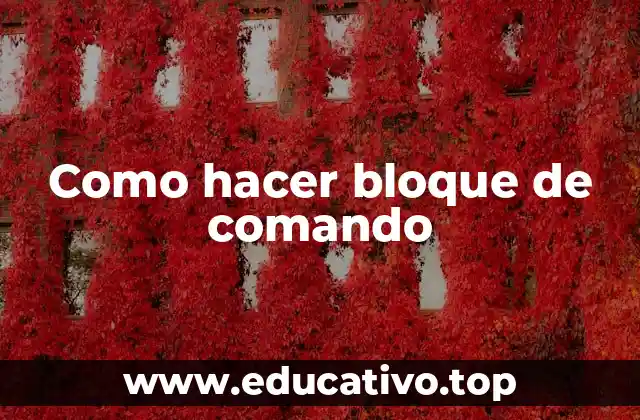 Como hacer bloque de comando