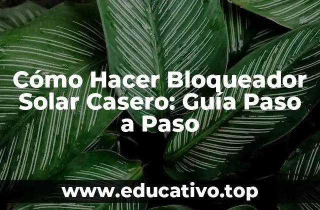 Cómo Hacer Bloqueador Solar Casero: Guía Paso a Paso