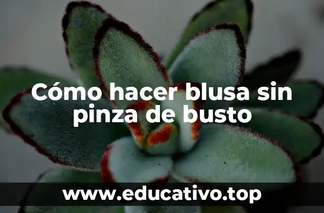 Cómo hacer blusa sin pinza de busto