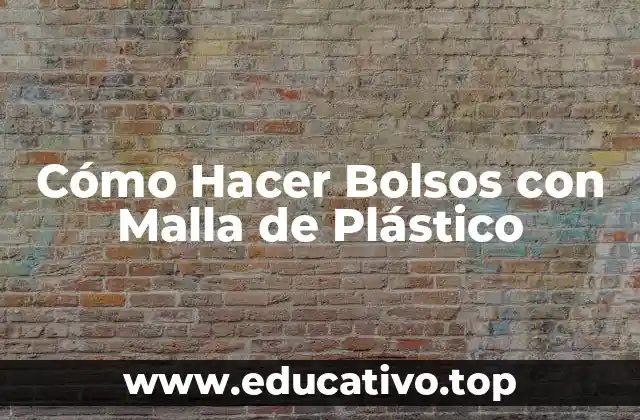 Cómo Hacer Bolsos con Malla de Plástico