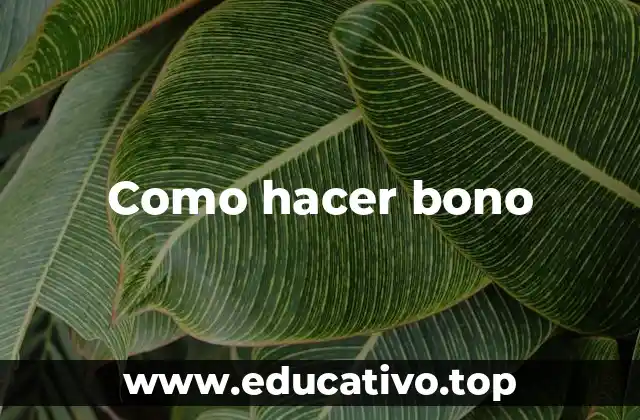 Como hacer bono