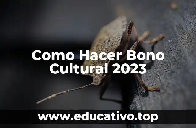 Como Hacer Bono Cultural 2023