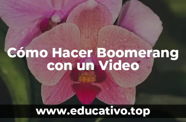 Cómo Hacer Boomerang con un Video