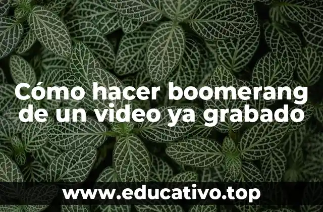 Cómo hacer boomerang de un video ya grabado