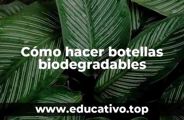 Cómo hacer botellas biodegradables