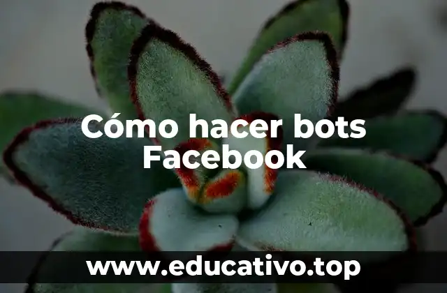 Cómo hacer bots Facebook