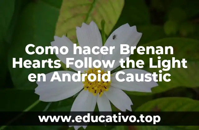 Como hacer Brenan Hearts Follow the Light en Android Caustic