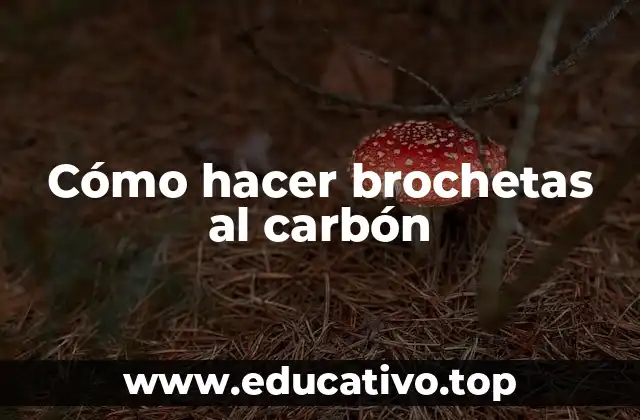 Cómo hacer brochetas al carbón