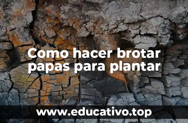 Como hacer brotar papas para plantar