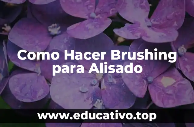 Como Hacer Brushing para Alisado