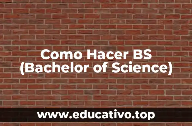 Como Hacer BS (Bachelor of Science)