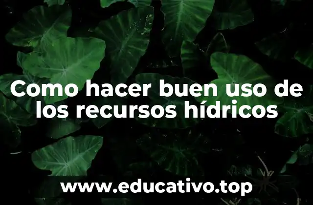 Como hacer buen uso de los recursos hídricos