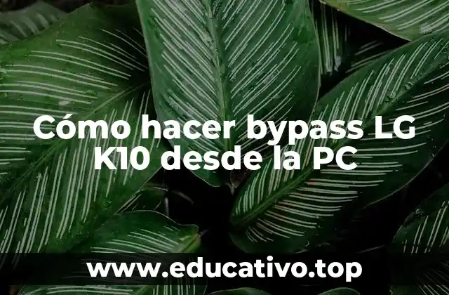 Cómo hacer bypass LG K10 desde la PC