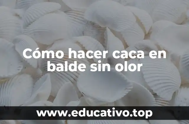 Cómo hacer caca en balde sin olor