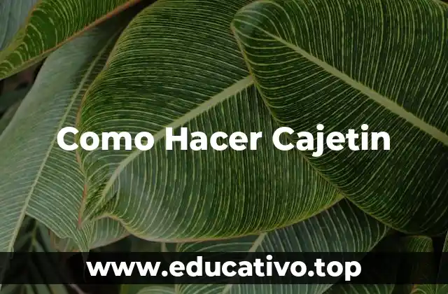 Como Hacer Cajetin