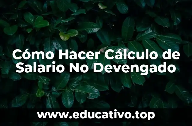 Cómo Hacer Cálculo de Salario No Devengado