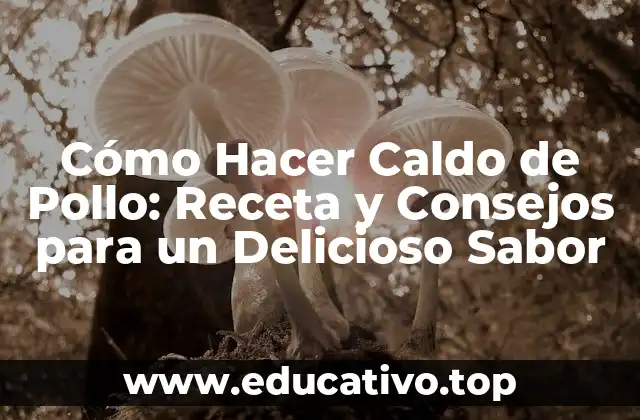 Cómo Hacer Caldo de Pollo: Receta y Consejos para un Delicioso Sabor