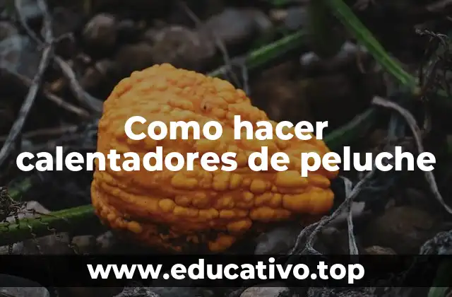 Como hacer calentadores de peluche