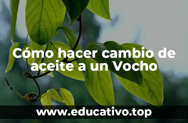 Cómo hacer cambio de aceite a un Vocho