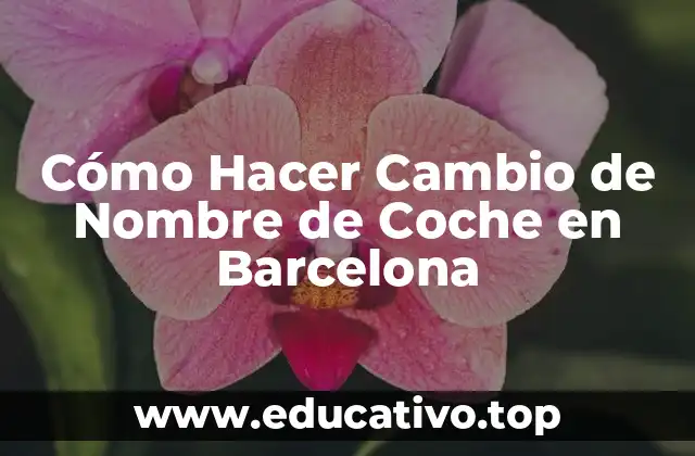 Cómo Hacer Cambio de Nombre de Coche en Barcelona