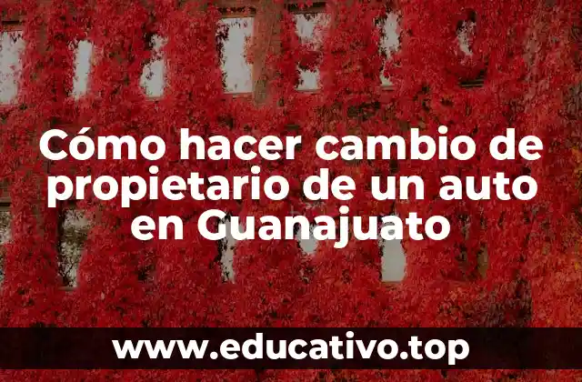 Cómo hacer cambio de propietario de un auto en Guanajuato