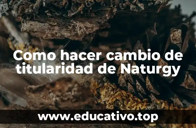 Como hacer cambio de titularidad de Naturgy