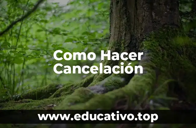 Como Hacer Cancelación