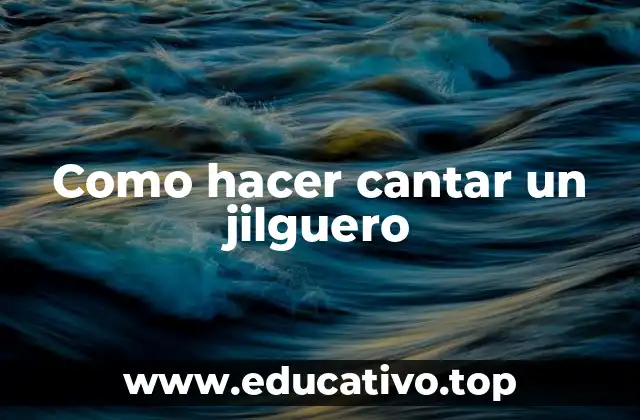 Como hacer cantar un jilguero