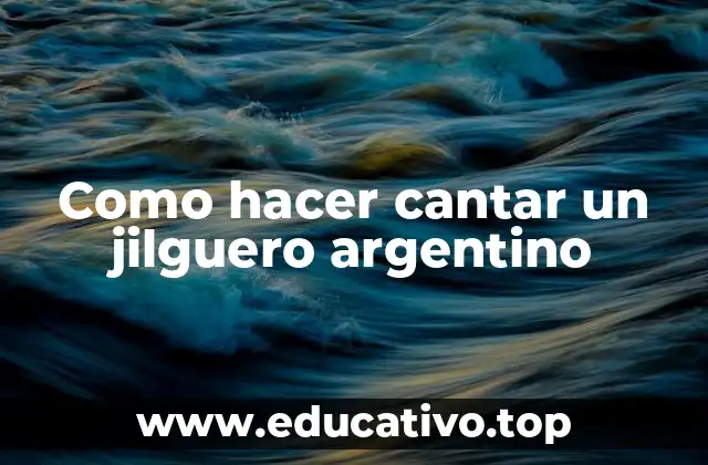 Como hacer cantar un jilguero argentino
