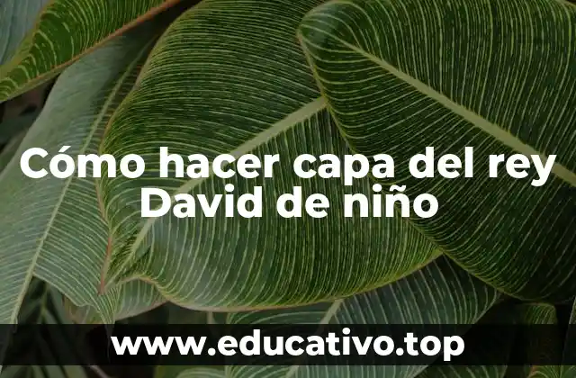 Cómo hacer capa del rey David de niño