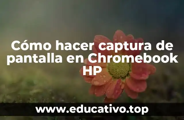 Cómo hacer captura de pantalla en Chromebook HP