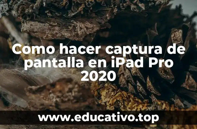 Como hacer captura de pantalla en iPad Pro 2020