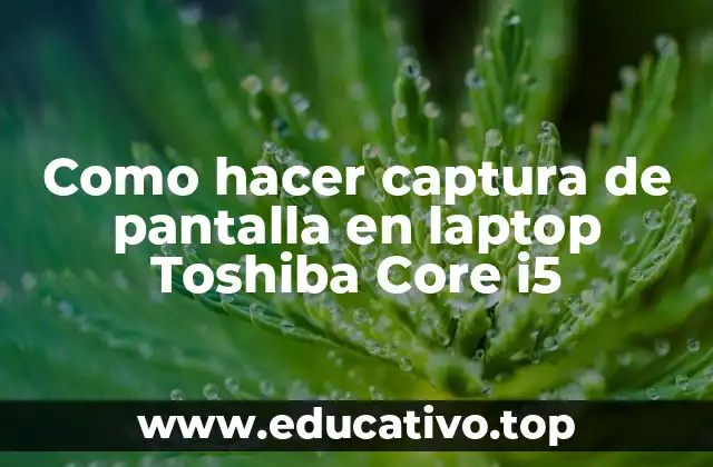 Como hacer captura de pantalla en laptop Toshiba Core i5