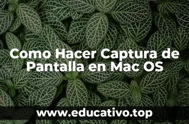 Como Hacer Captura de Pantalla en Mac OS