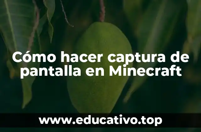 Cómo hacer captura de pantalla en Minecraft