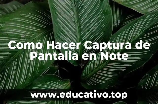 Como Hacer Captura de Pantalla en Note
