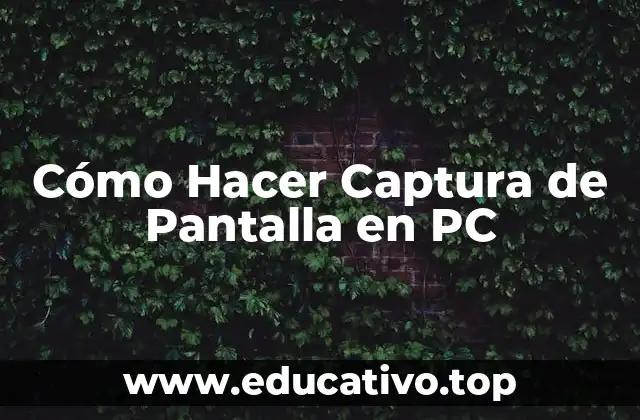 Captura de Pantalla en PC