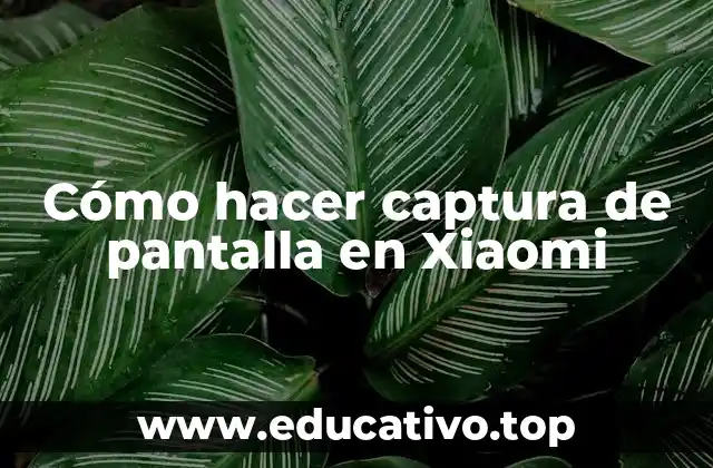 Cómo hacer captura de pantalla en Xiaomi