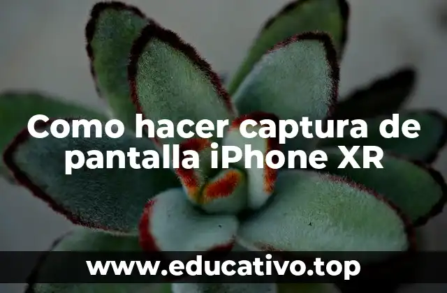 Como hacer captura de pantalla iPhone XR